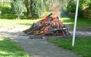 Kartoffelbraten 2010