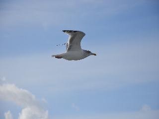 Ostsee 2012