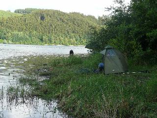 Nachtangeln 2012